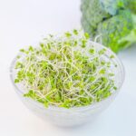 🌱小さな芽に秘められたチカラ！スプラウトの栄養に注目｜🥢レシピ：凍り豆腐と野菜の醤油麹あん